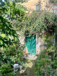 En have udenfor Il giardino delle zagare - miniappartamento tra Etna e mare