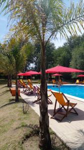 Swimmingpoolen hos eller tæt på Cabañas y Camping El Gringo