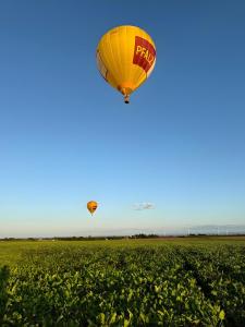 deux montgolfières dans le ciel au-dessus d'un champ dans l'établissement Ferienwohnung Sonnenring, à Heide