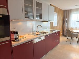 a kitchen with red cabinets and a sink at "SONNTAGSKIND" - 2-Zimmer-Apartment mit Terrasse und Privatgarten in Kraiham