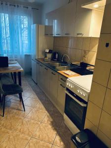 een keuken met een fornuis, een wastafel en een tafel bij Włocławek Norwida in Włocławek