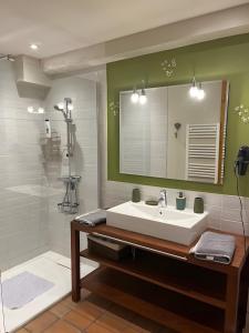 Et badeværelse på Chalet Le Grand Cerf + 16 billeder