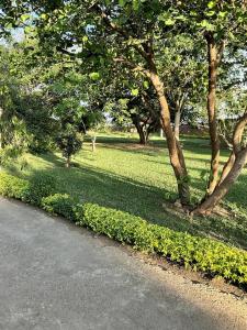 En have udenfor Golden Favour Homes