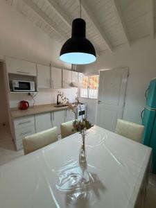 ルハン・デ・クージョにあるArtin House Mendozaのキッチン(花瓶付きのテーブル付)