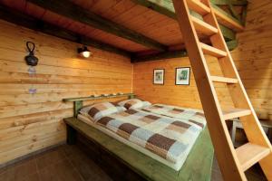 a bedroom in a log cabin with a bed and a ladder at Apartman 105 Pec pod Sněžkou in Pec pod Sněžkou