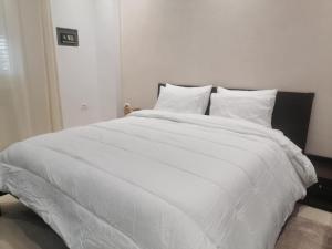 苏塞Joli Appartement Superieur的一张白色的大床，配有白色的床单和枕头