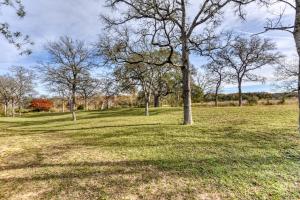 un gruppo di alberi in un prato di Tiny Islands Resort - Canary a Fischer