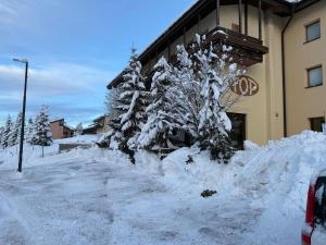 a snow covered tree in front of a building at Top Residence Trilocale Larice in Passo del Tonale