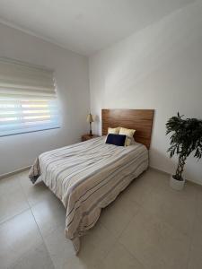 a bedroom with a bed and a potted plant at La casa blanca in Mezcales +13 photos