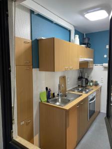 Elle comprend une petite cuisine avec des placards en bois et un évier. dans l'établissement Ferienwohnung Sonnenring, à Heide