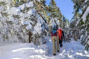 Το Waterfront with Spa and Lake Access τον χειμώνα