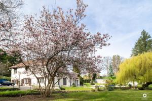 PrémilhatにあるLa Petite Vernoelleの庭にピンクの花が咲く木