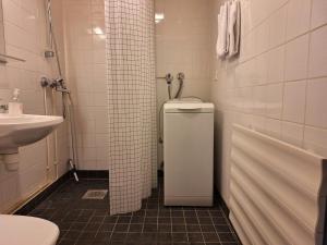 a bathroom with a shower and a toilet and a sink at Spacious Apartment for 5 in Sodankylä +6 photos