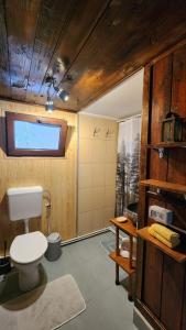 un bagno con wc e doccia di Cabana Pinolera a Boga