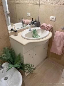 un bagno con lavandino e specchio di Apartamento Isla Feliz a San Miguel de Abona