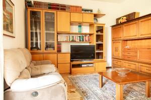 TV a/nebo společenská místnost v ubytování Quiet apartment near Como Lake - Casa Plinio