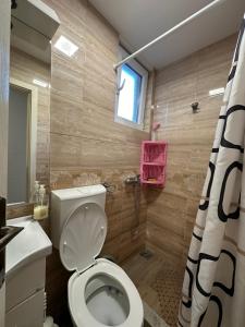 een badkamer met een wit toilet en een douche bij Urban Apartmens 5 in Jošanička Banja +26 foto's