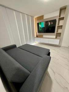 Et tv og/eller underholdning på Luxury apartment, new and modern