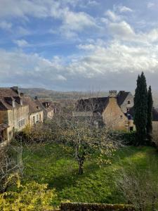 un village avec un pommier dans un champ dans l'établissement Cozy maisonette de Domme, à Domme