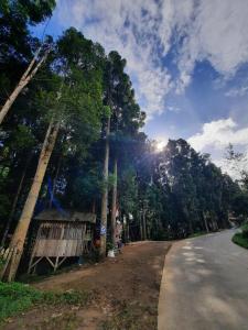 Billede fra billedgalleriet på youlien campsite i Gambung