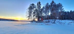 a small red cabin in the snow with trees at Smedjan in Mellanström