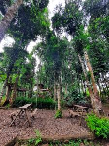 En have udenfor youlien campsite