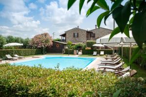 een zwembad met ligstoelen en parasols bij Casa Vacanze Ribocchi in Campiglia Marittima