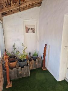 Billede fra billedgalleriet på La Farigoulette i Aniane