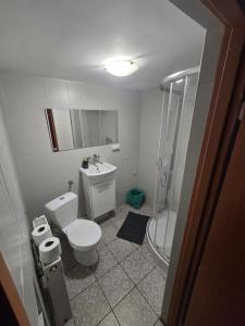 Koupelna v ubytování Apartament Wrocławska 11