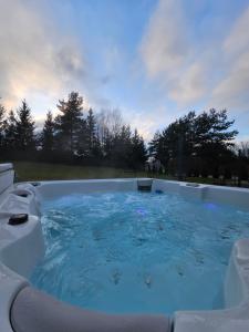 Swimmingpoolen hos eller tæt på Koliberek Apartamenty