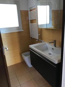 une salle de bains avec lavabo et toilettes dans l'établissement Rovio Villa lake View & Relax, Lago di Lugano 4guests, à Lugano