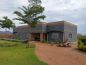 Bethel Oasis的一栋前面有棵树的建筑物