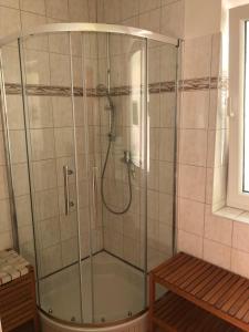 a shower with a glass enclosure in a bathroom at Ferienhaus am Plauer See in Lenz
