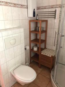 a small bathroom with a toilet and a shower at Ferienhaus am Plauer See in Lenz