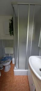 a bathroom with a shower and a toilet and a sink at Ferienhälfte Insel Rügen in Glowe +7 photos