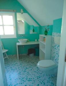 a blue bathroom with a toilet and a sink at Ferienhaushälfte Fleesensee in Göhren-Lebbin +5 photos