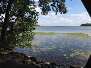 een uitzicht op een meer met bladeren in het water bij Ferienhaus am Fleesensee in Silz
