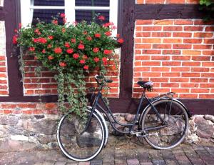 Rattasõit majutusasutuse Wohnung in Ulrichshusen aladel või selle läheduses +11 fotot