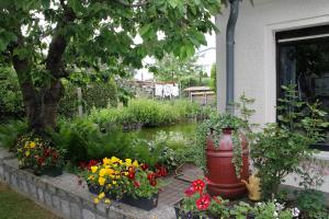 a garden with flowers in front of a house at Ferienhaus in Waren Müritz in Waren