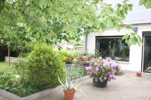 a garden with pots of flowers and plants at Ferienhaus in Waren Müritz in Waren
