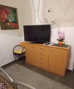 TV/trung tâm giải trí tại Ferienhaus im Spreewald