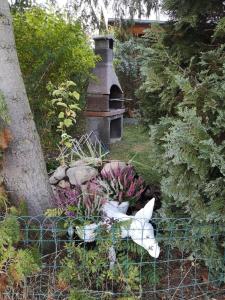 Vườn quanh Blockhaus in der Schorfheide