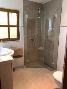 een badkamer met een glazen douche met wastafel bij Blockhaus am Waldrand in Brieselang