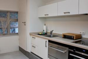 Køkken eller tekøkken på Moderne FeWo am Malchower See