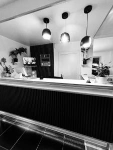 a bar with potted plants on top of it at Little Lodge Hôtel in Brest