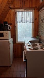 Kuchyň nebo kuchyňský kout v ubytování Finnhütte am Lübbesee + 6 fotografií