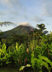 a mountain in the distance with plants in the foreground at Asha Hostel in Fortuna