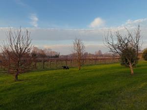 Příroda nedaleko bed and breakfast