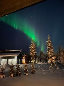 an image of the aurora in the sky over trees at Villa Aurora Noir in Rovaniemi