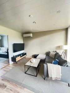 a living room with a couch and a tv at Villa Aurora Noir in Rovaniemi